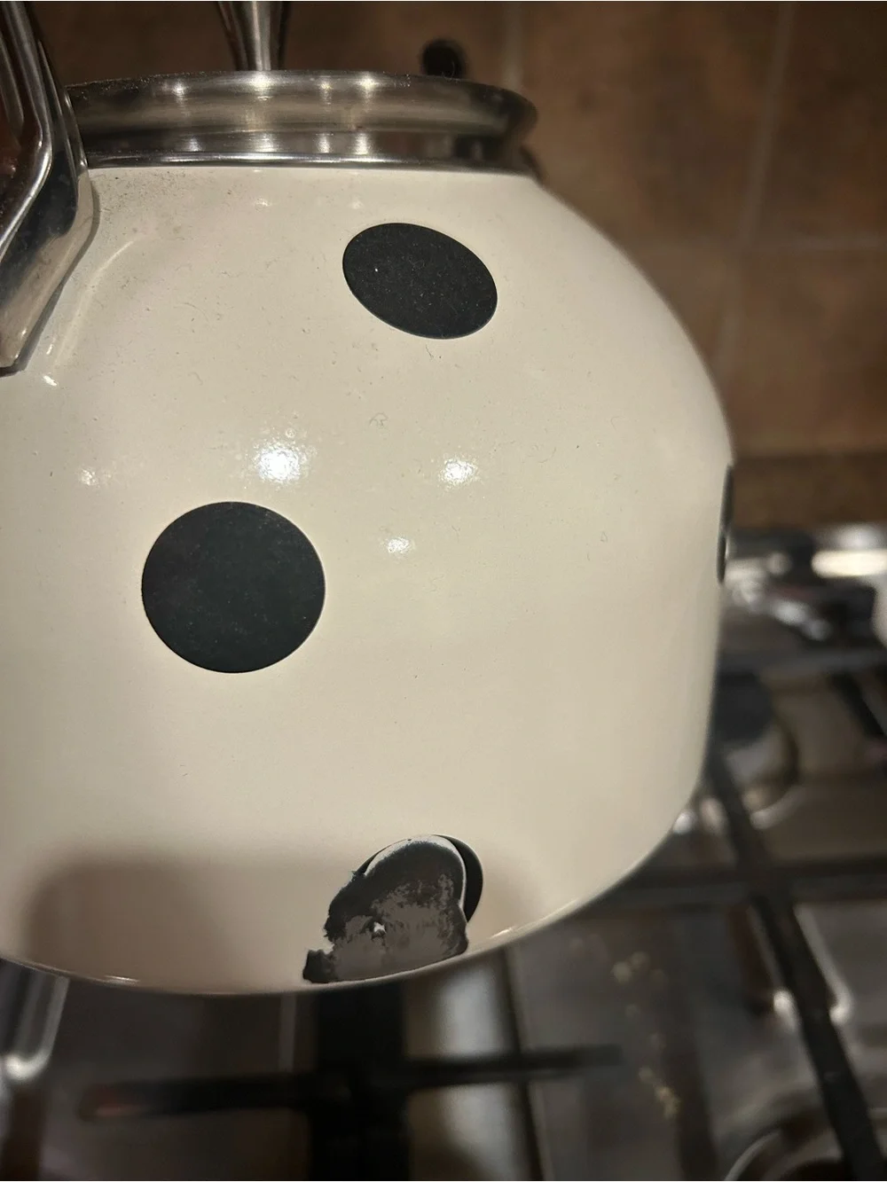 kate spade White Polka Dot Whistling Stovetop Kettle with Stainless Accents